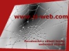 logo Ing. Zdeňka Illnerová - webdesign, tvorba webu,webové stránky,turismus,cestovní ruch, projekty